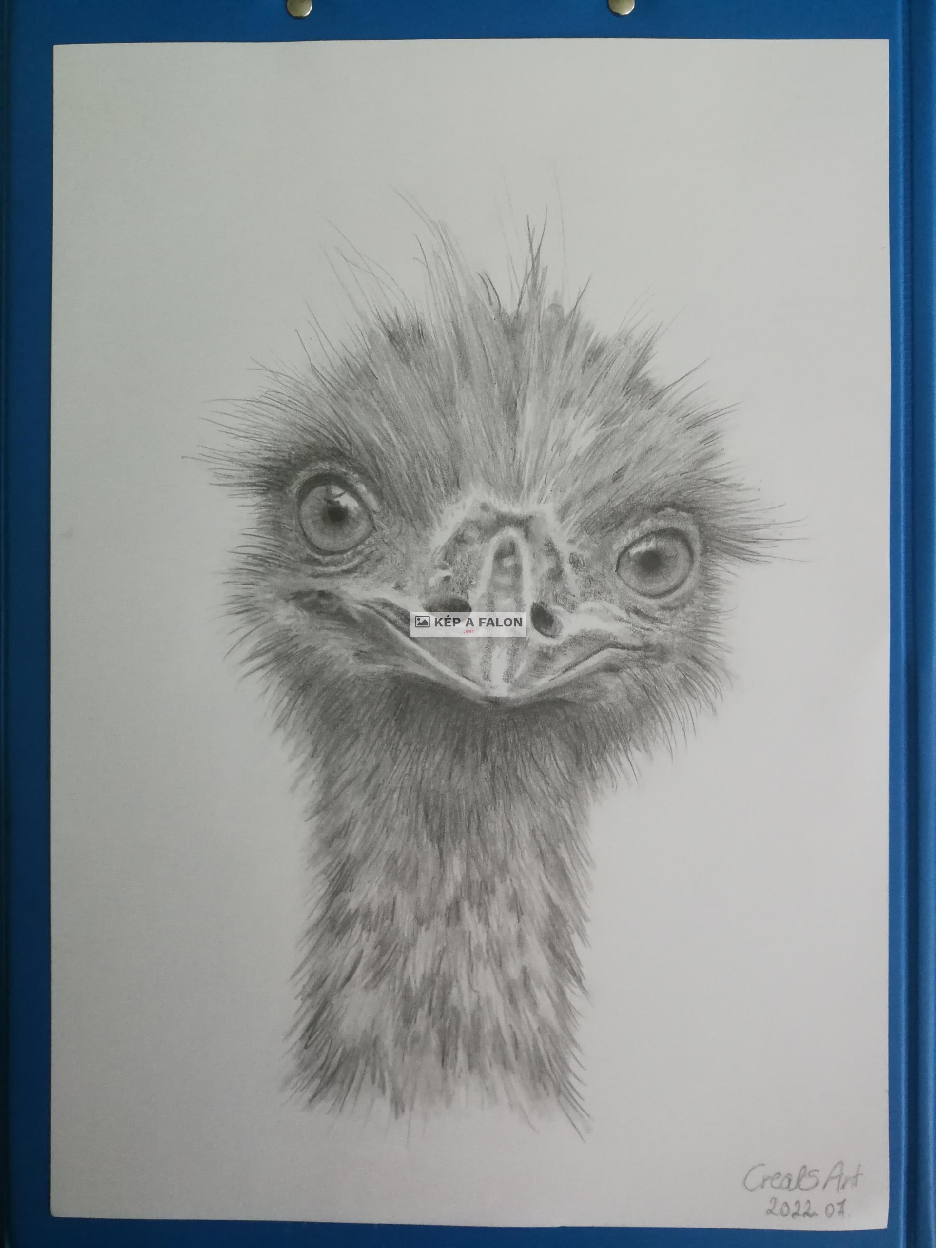 Emu by: Csisza Mónika | 2022, vegyes