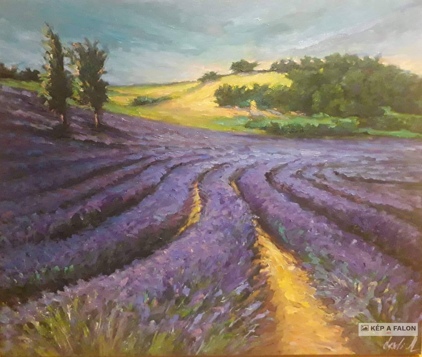 Levendula mező by: Békési-Egedi Mária | 2022, olaj festmény